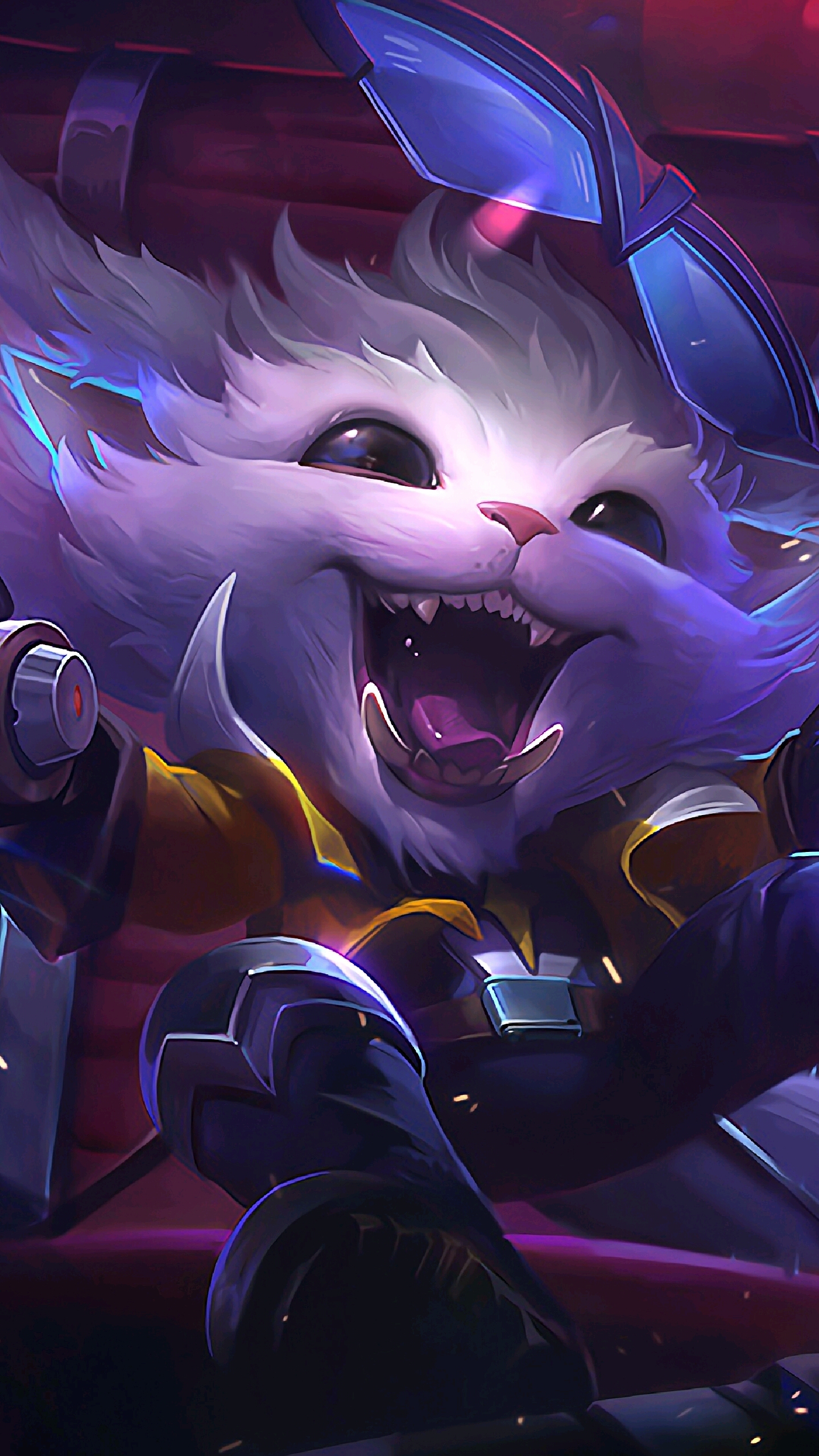 的措辞变化